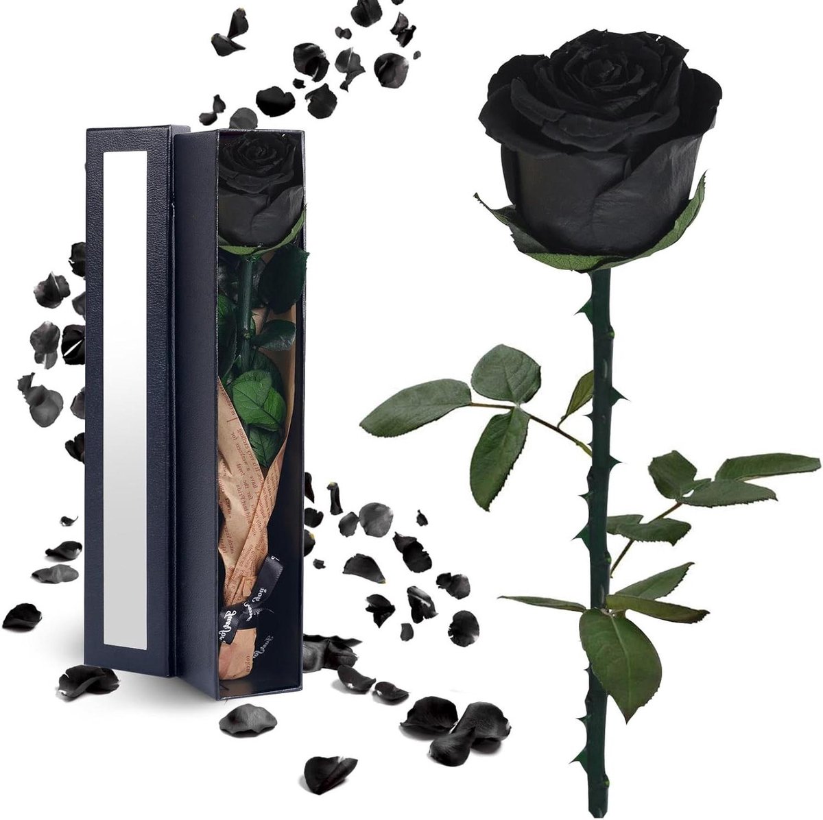 Beware Rozen Cadeau - Eeuwige Bloem - Romantiek Tonen - Echt en Bewaard - 29.5 cm - Zwart