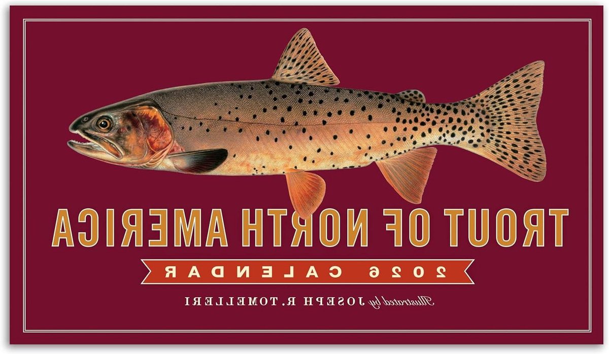Forel Muurkalender - Vis Kalender - Jaar Plannen - Meesterlijke Visillustraties - 35 x 40 cm - Meerkleurig