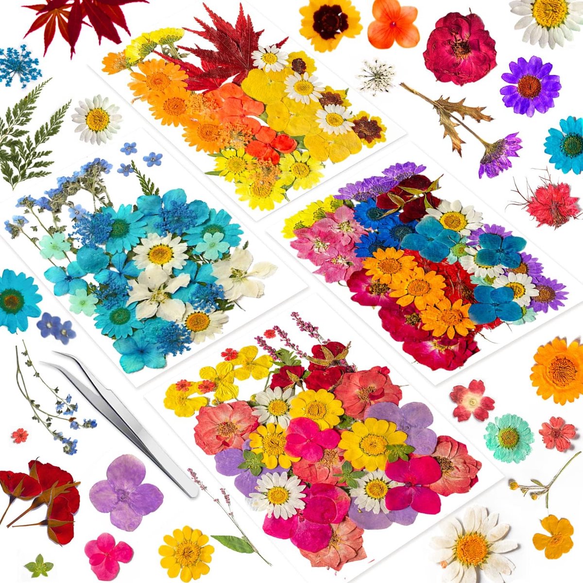 Gedroogde Geperste Bloemen voor Hars Mal, Droog Persen Bloemen Set voor Diy Sieraden Maken Nail Card Scrapbook Art Craft Decors Bloesem