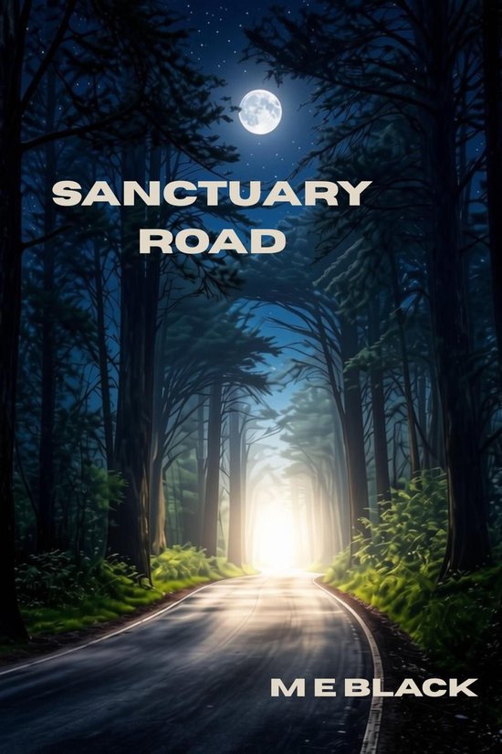 Sanctuary Road - cover