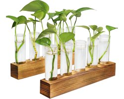 Planten Voedingsstation - Hydroponisch Terrarium - Planten Vermeerderen - Met Houten Standaard - 10 Glazen Buisjes - Bruin