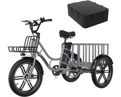 ELEKGO Elektrische Driewieler EGO 03S - 20*3.0 Inch Fat Tire City Commuter EBike met Afneembare 48V 18 Ah Lithium Batterij - Bakfiets E-Bike met 250W Motor - IP54 Waterdicht