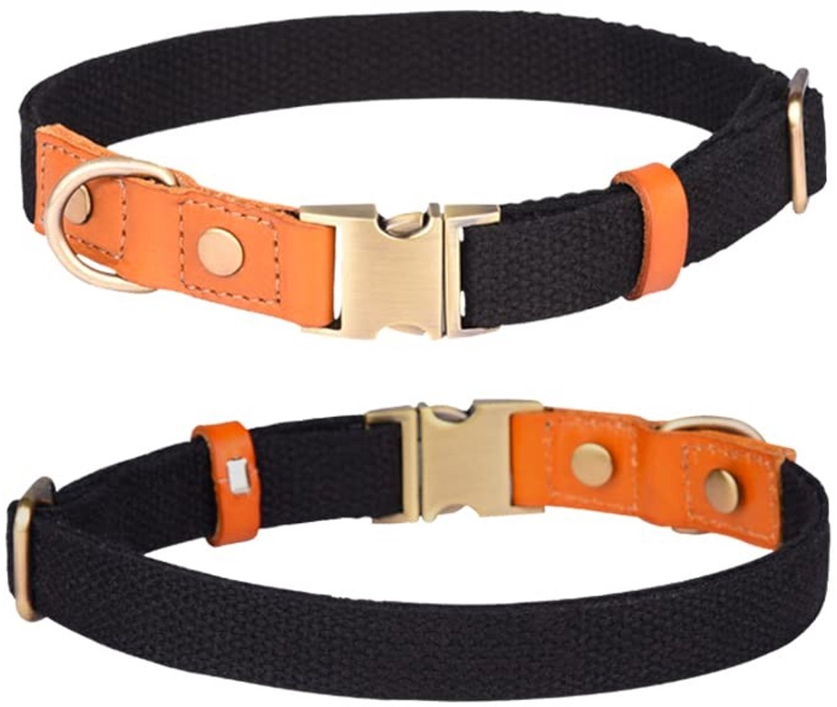 Dailygoods- Halsband Verstelbaar - Nylon/Huisdierhalsband - Roestvrij Stalen Gesp - Lichtgewicht - Ademend - Geschikt voor Nekomvang 38-60 cm - Hondenhalsband