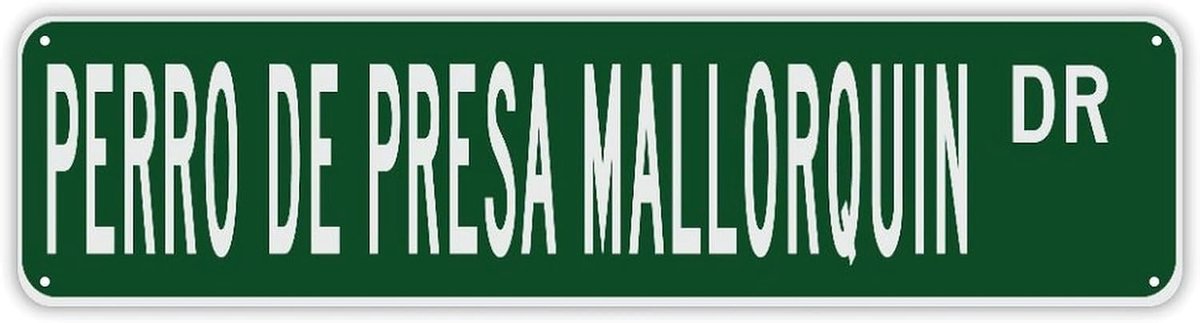 Gepersonaliseerd Naambord - Huisnummerbord Metaal - Huis Decoratie - Op Maat Gemaakt - 24x6 Inch - Stijl-16