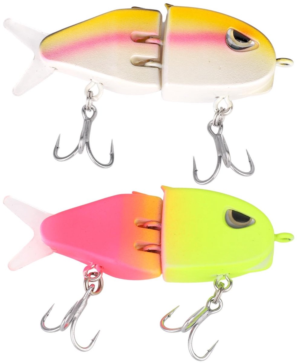 Dailygoods- Glide Bait 2 Stuks - Ultra-realistische Zwemactie - Mini Aas - Koolstofrijke Haken - Duurzaam ABS - 6,5 x 3 cm - Vissersaas