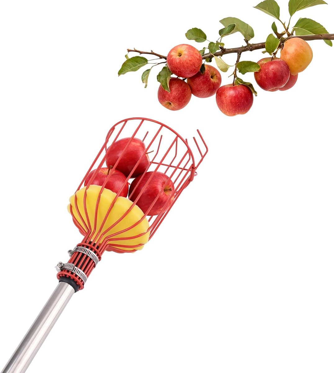 Fruitplukker van 411cm met Steel en Mand, Roestvrij Staal Verstelbaar Lange Appelplukker Fruitgrijper voor Appels Perziken Peren Citroenen Mango's en Avocado's