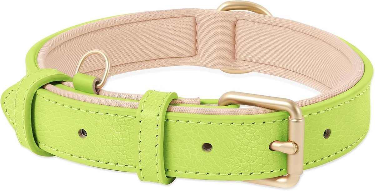 Zacht Lederen Hondenhalsband voor Klein Honden Ademend Gevoerd met D-ring, Verstelbare Klassieke Hondenhalsband, Grasgroen,S