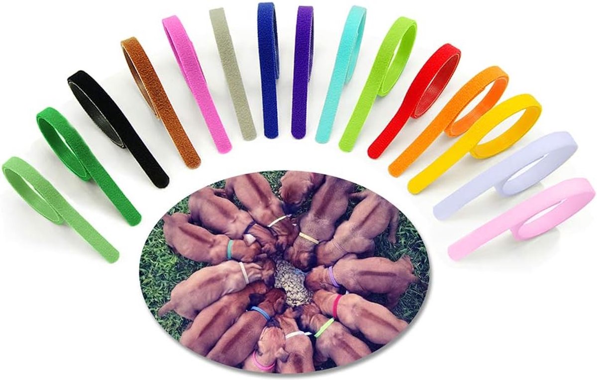 Puppy ID halsbanden 15 Stuks - Verstelbaar nylon - Multikleuren - Identificeer jouw huisdieren - SnelShoppen