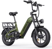 HillMiles MileLink 1 Elektrische fiets 250W 25km/u met achterdrager voor zware lading, 16x4 brede banden hydraulische remmen stads en terreinfiets met 48V 18Ah accu, 65Nm, groen
