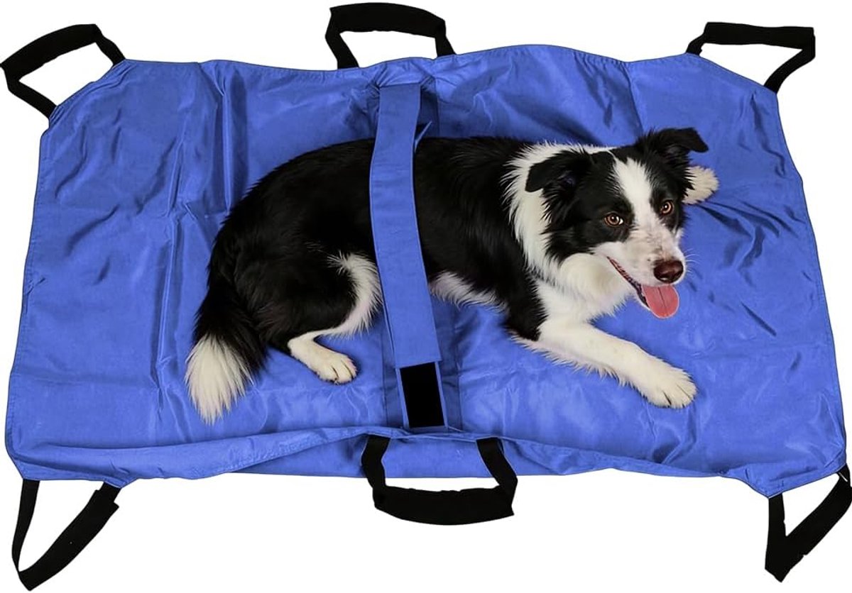 SnelShoppen - Hondendrager voor Grote Honden, Draaghulp Tot 60 Kg, Opvouwbare Full-Body Draaghulp met 6 Handgrepen en Anti-Bijten, Ideaal Voor Dierena