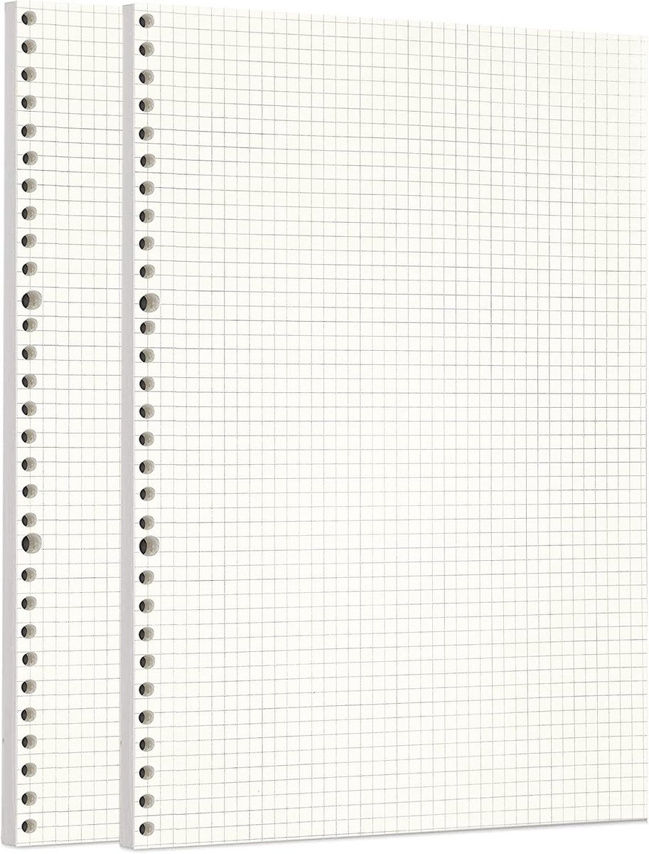 SnelShoppen - 2 Pack A4 Vierkante Loose Leaf Vullingen 90 Bladen/180 Pagina's voor 30 Gaatjes Ringband Persoonlijke Organiser Notitieboek Herbruikbare