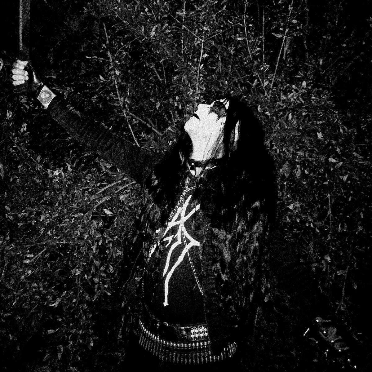 Mäleficentt - Night of Eternal Darkness