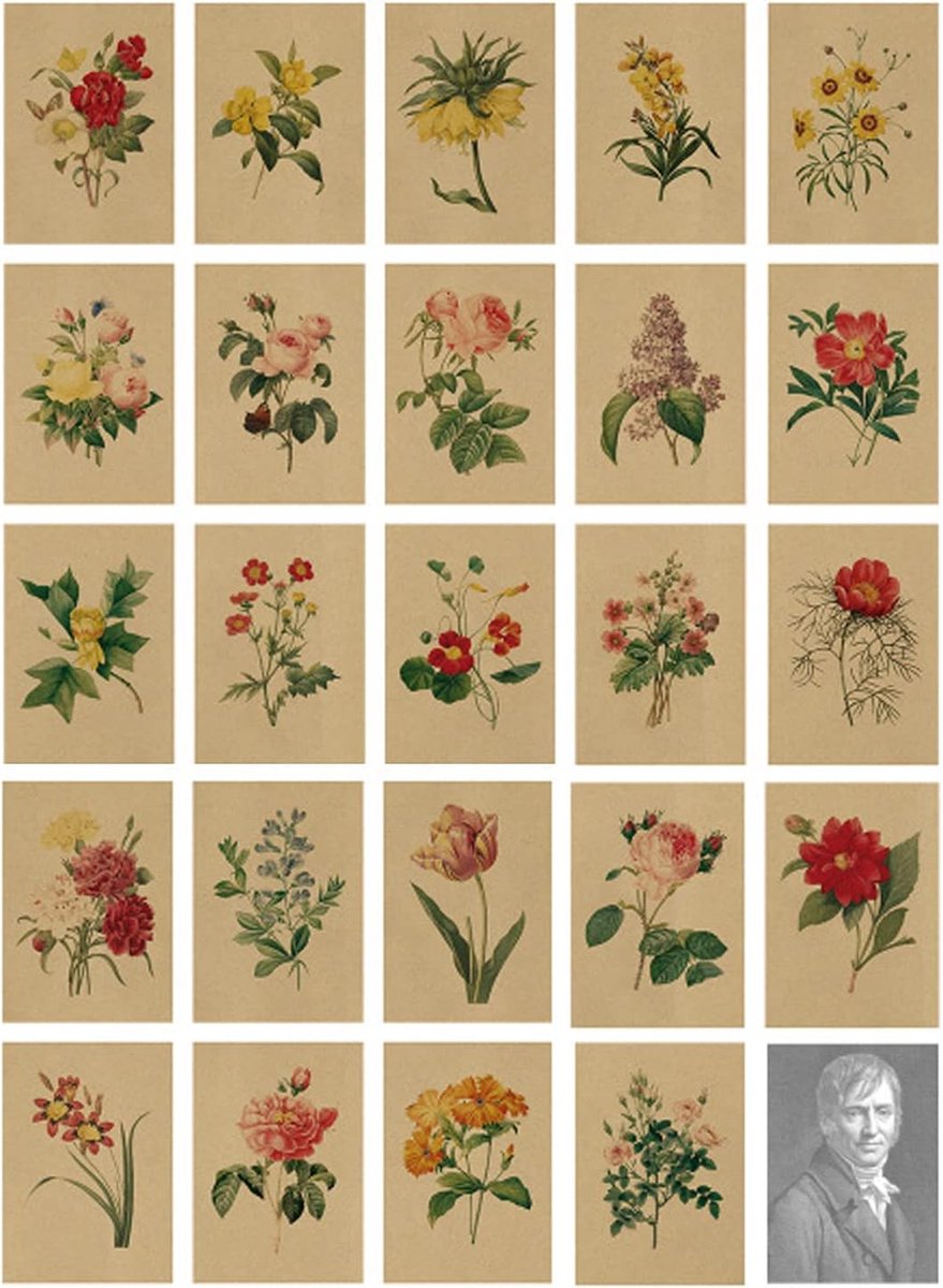 SnelShoppen - 24 Vintage Postkaarten met Bloemen, Kraft Papier Postcards Set, Hoogwaardige Postkaarten met Mooie Plantenprints, 14x10 cm