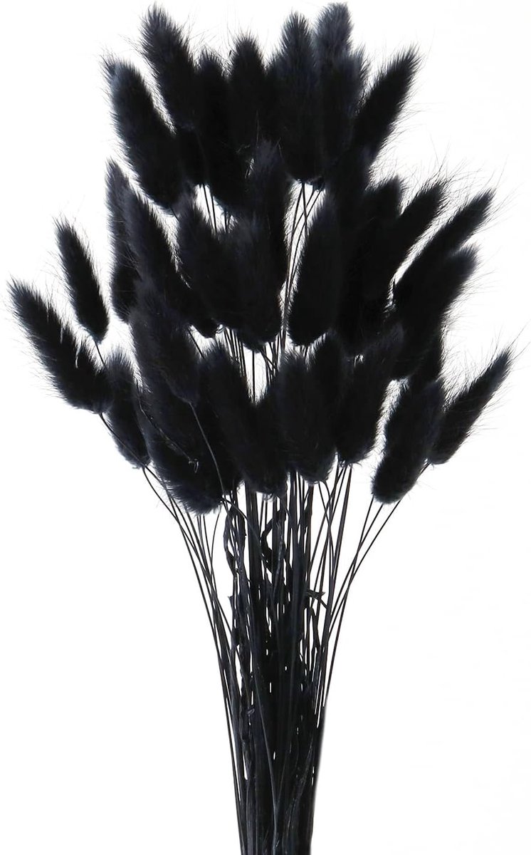 SnelShoppen - Natuurlijke Gedroogde Konijnenstaart Bloemen - 50 Stuks Zachte Bloemen Boeket voor Woonkamer Decoratie - Gedroogd Pampas Gras in Zwart