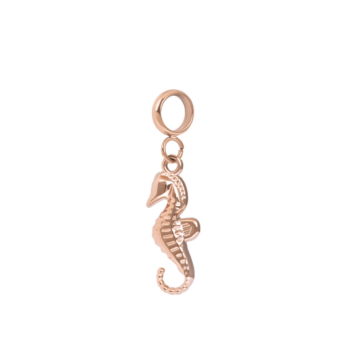 iXXXi Connect Bedel Marelet | Rosé