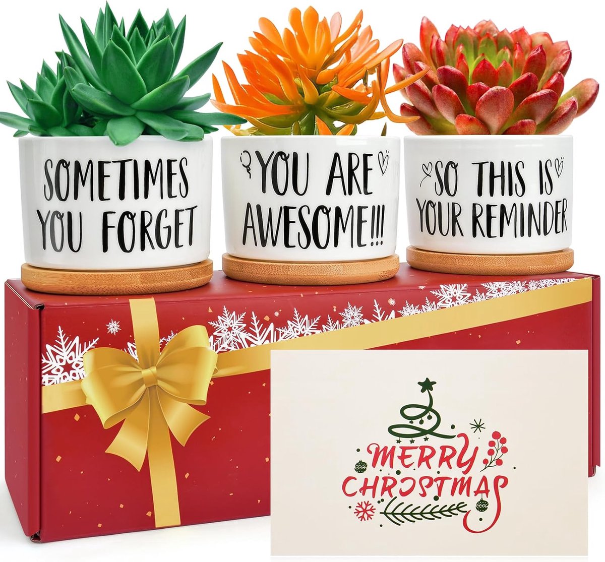 SnelShoppen - Psukhai Verjaardagscadeaus voor Vrouwen, Moeder, Vriendinnen, Echtgenote, Collega's - Kerst & Tuin Cadeaus voor Haar, Cadeaus voor Vrouw