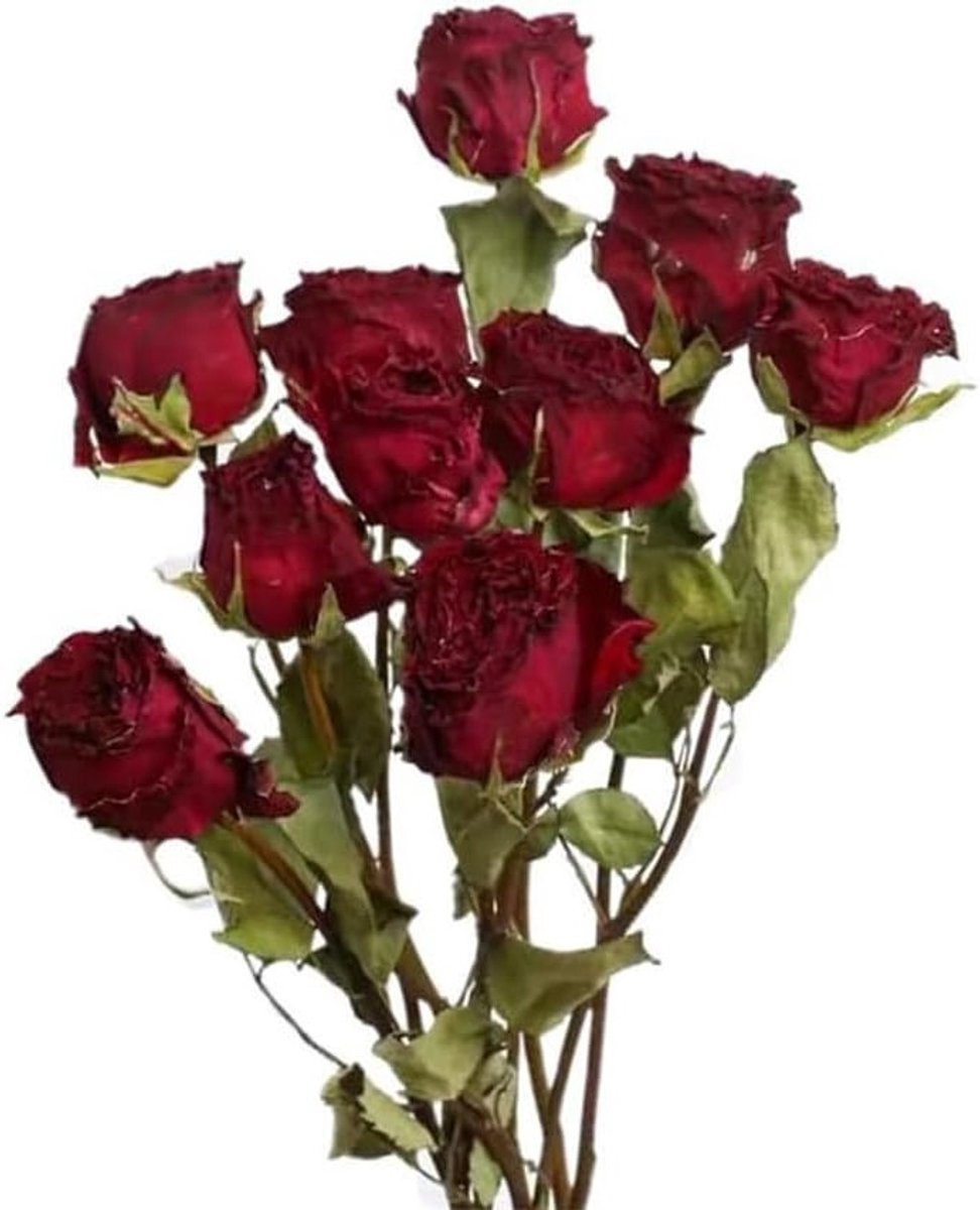 Natuurlijke droogbloemen boeket met 10 stuks rode gedroogde rozen voor bruiloft decoratie, DIY kransen en sfeervolle woondecoratie