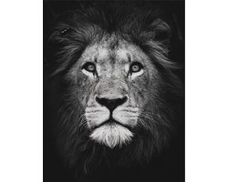 SEOS Shop ® Diamond Painting Volwassenen - Diamond Painting Kinderen - Diamond Paintings Pakket Volledig - Zwart Wit Leeuw - 40x50 cm