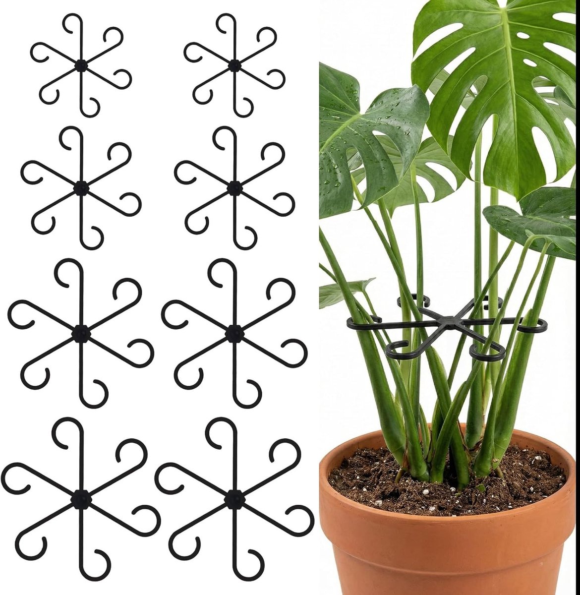 SnelShoppen - 8 Stuks Plantenstengelsteun - Klimplant Stam Steunhaken - Herbruikbare Kamerplant Stabilisatie - 4 Maten - Zwart - Voor Binnen en Buiten