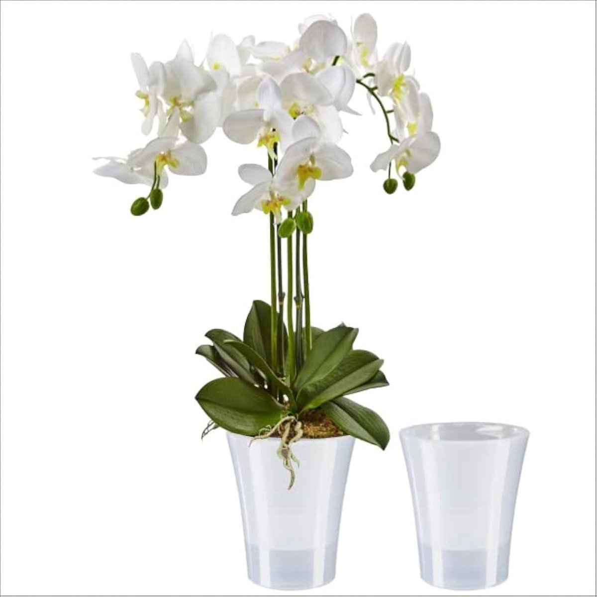 Thijox - Set van 2 transparante orchideeën plantenpotten met zelfbewaterend lontsysteem 15 cm - Perfect voor huis, tuin en balkon - 2 liter capaciteit