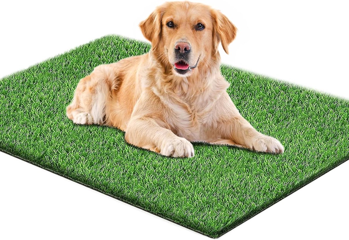 SnelShoppen - Dog Toilet 80x100CM voor Thuis & Balkon - Kunstgras voor Hond Potty Training - Ideaal voor Appartement & Balkon - Vervangend Gras met Af