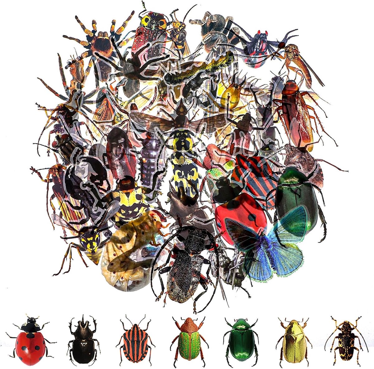 SnelShoppen - 50 Pcs Insect Sticker Set - Realistische Insecten Stickers - Waterdichte Transparante Dieren Stickers - Voor Waterflessen en Creatieve P
