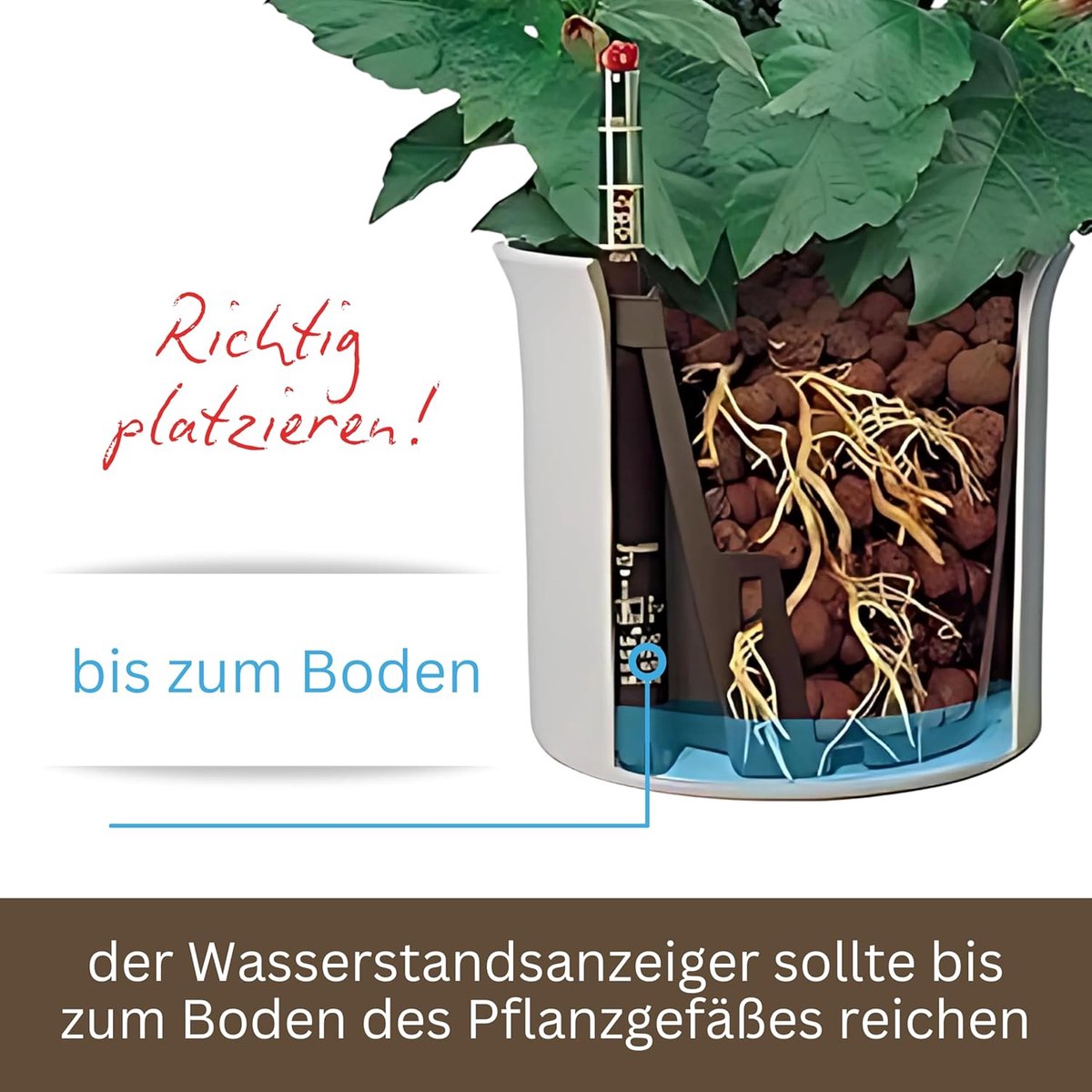 SnelShoppen - LENI Hydroponic Water Level Indicator 12 - Waterpeil Indicator voor Hydroponische Tuinieren - Ideaal voor Langdurige Irrigatie - Makkeli