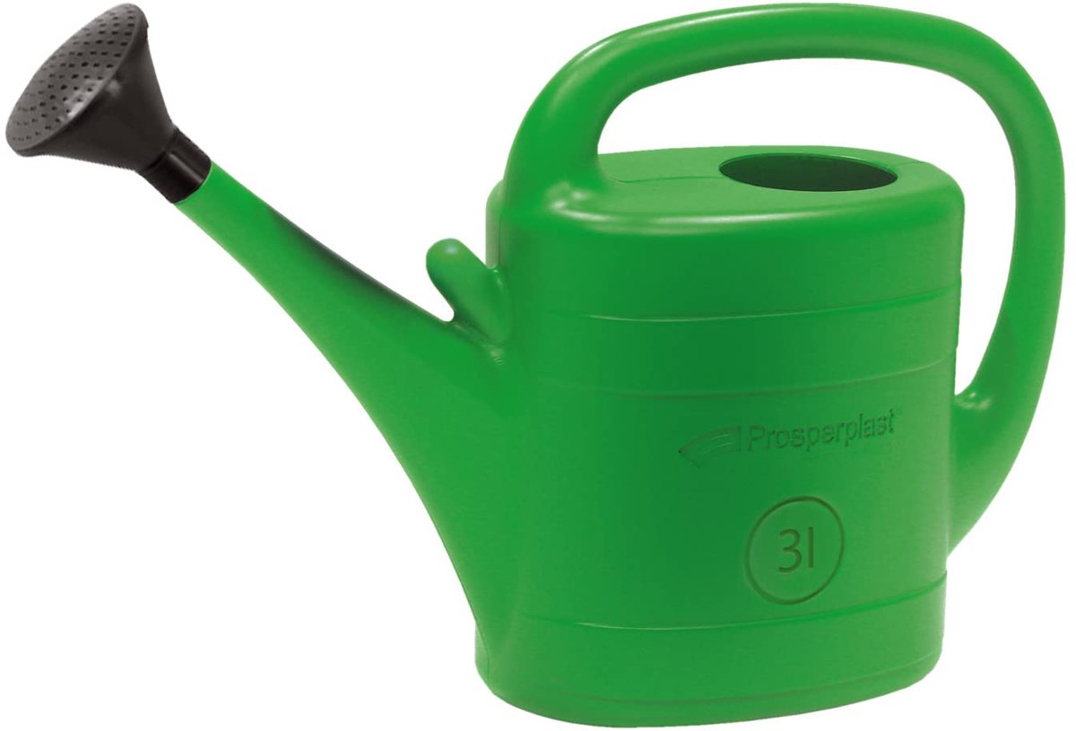 Famanu – 3 liter gieter met sproeierkop, groene kunststof gieter, ideaal voor tuin en planten