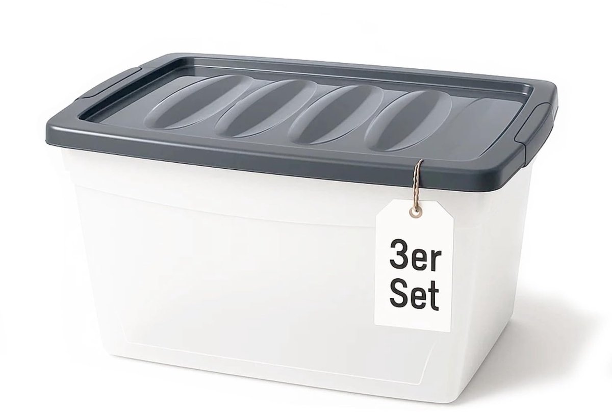 Famanu Opbergdoos met deksel, set van 3 stuks, groot formaat van 60 l, plastic doos met deksel voor opslag Wit