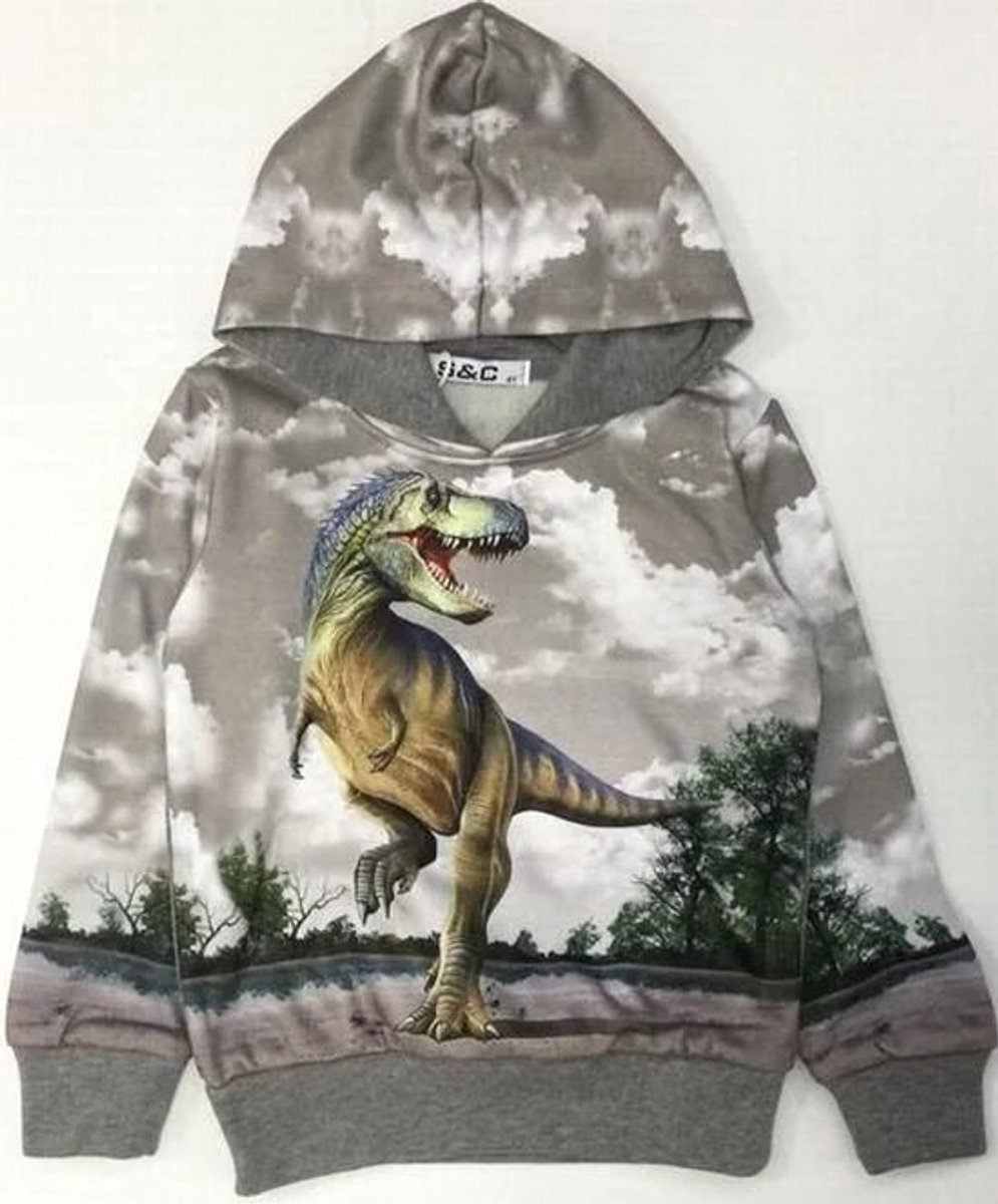 Grijze hoodie met dinosaurus H176a - Grijs - 98/104