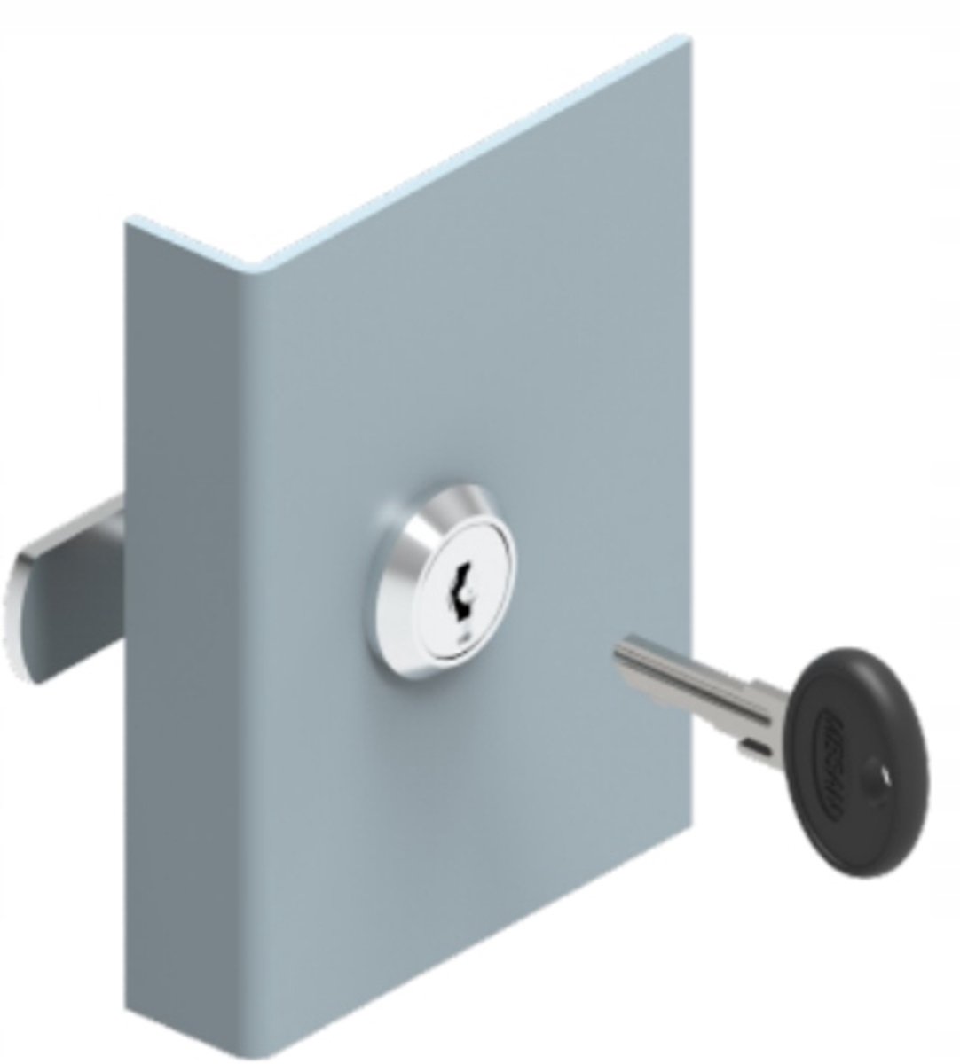 Merkloos Draaislot 20mm ZnAl Chroom met Universele Sleutel