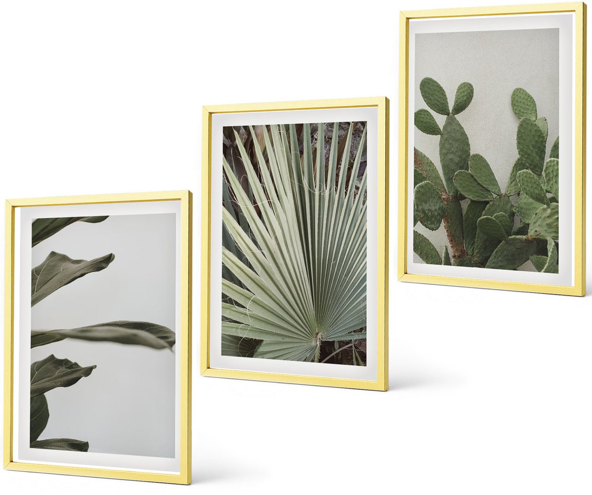 Coloray 3-Delige Schilderij Set - Bladeren Van Tropische Planten In Pastelkleuren - 40 x 40 cm En 40 x 60 cm - Moderne Wanddecoratie - Woonkamer - Stijlvolle Muurdecoratie