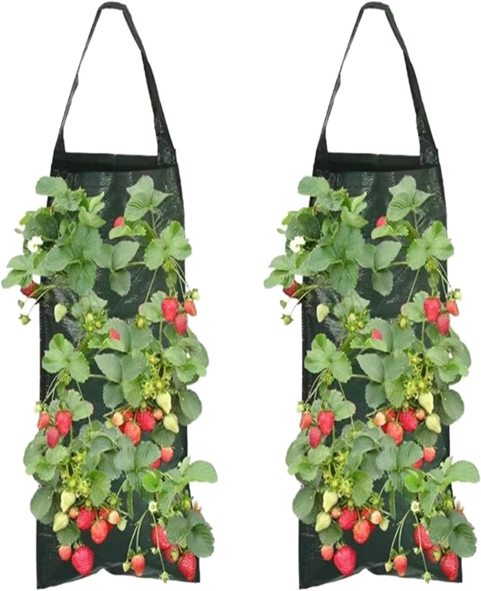 KZQ 2-delige hangende tomatenkweekzak met 8 plantgaten - Ademende pot voor blauwe bessen en groenten - Geschikt voor balkon hek en terras - Groen