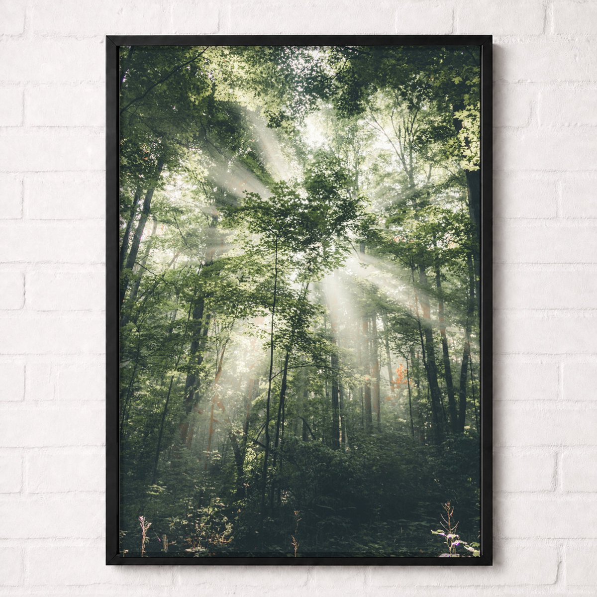 Zonnestralen in het Bos Poster - Forest Nature Collection - Natuur Posters - A1+ 61 x 91,5 cm