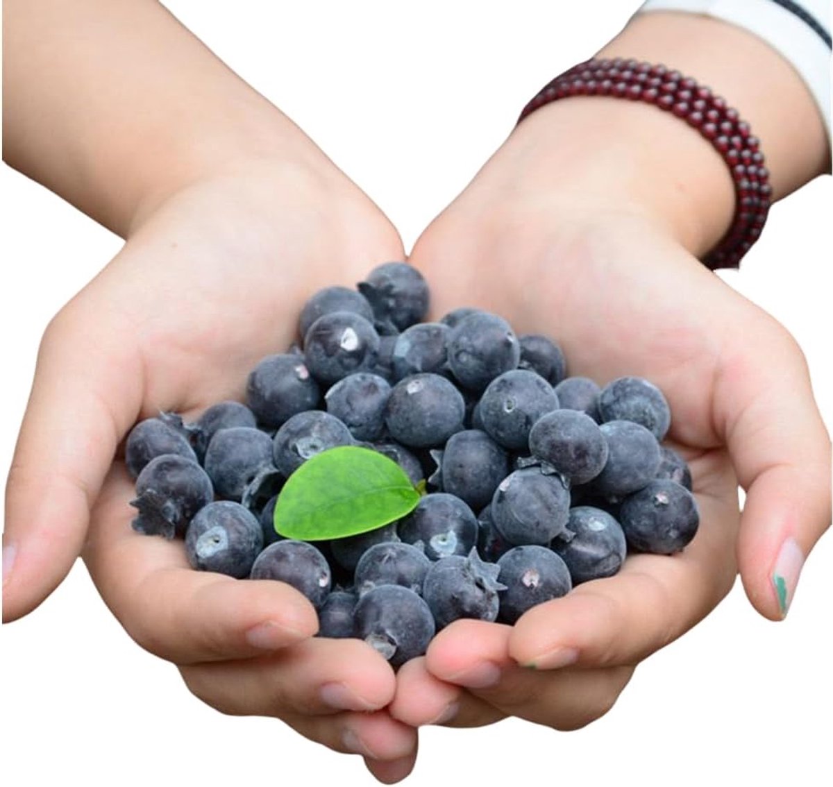 Nepfruit Blauwe Bes 50 Stuks - Kunststof Foam - Realistische Uitstraling - Perfect voor Decoratie - ShopVlot