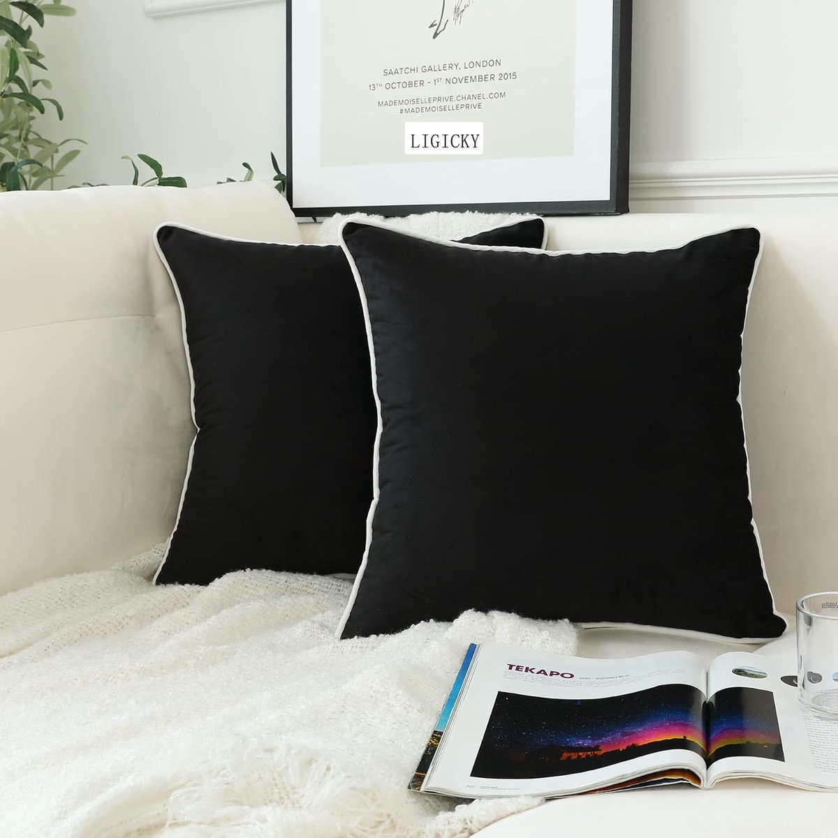 LIGICKY Set of 2 Luxury Decorative Cushion Covers, Velvet Soft Throw Pillow Covers, Simple Square Throw Pillow Covers - ShopVlot