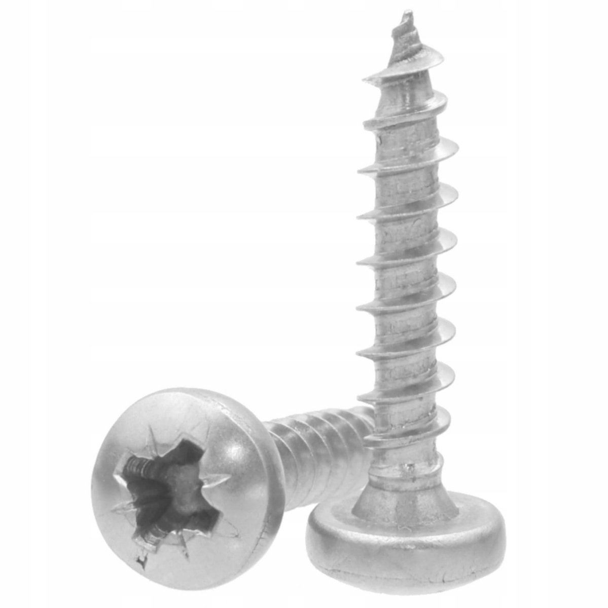 Roestvrijstalen Lenskop Schroeven 6x25mm - 3 Stuks