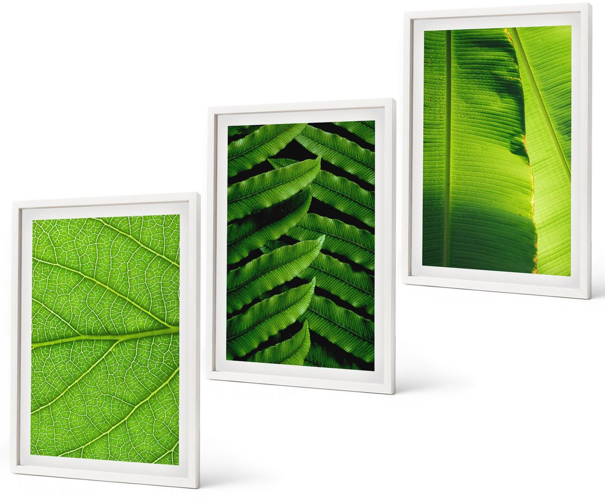 Coloray 3-Delige Schilderij Set - Close-Ups Van Tropische Bladeren - 40 x 60 - Schilderijen Set - Wanddecoratie - Woonkamer - Moderne Wanddecoratie
