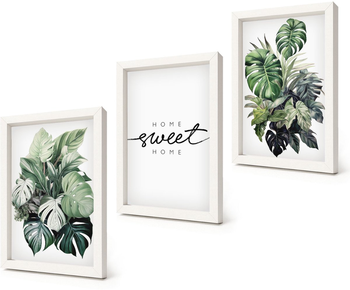 Coloray 3-Delige Schilderij Set - Planten in het groen met de woorden Sweet Home - 20x30 - Wanddecoratie - Schilderijen Set - Kantoor - Muurdecoratie