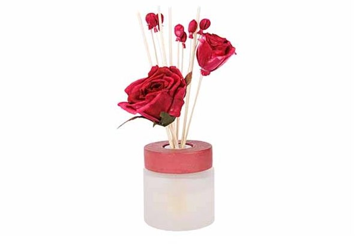 Geurdiffuser Wine Cranberry Rood 100ml 1 2x9xh27cm Glas