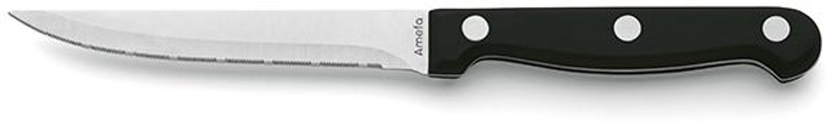 Steakmes met Franse kartel Amefa 7025 Steak 21 cm Kunststof