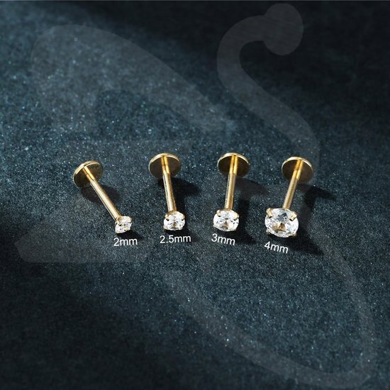 1 Paar 316L Roestvrij Staal Labret Lip Stud, Interne Draad Philtrum Ashely Sieraden CZ Tragus Helix Neus Neusgat Piercing 16G Platte Terug Oorbellen Studs voor Vrouwen Mannen — afbeelding 3