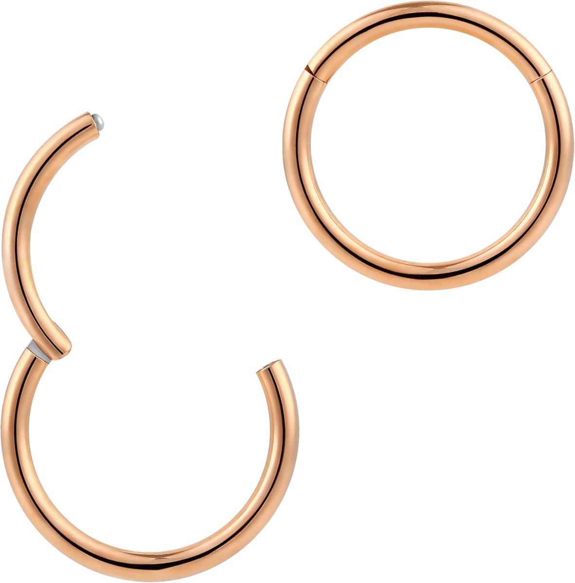 365 SLEEPERS 2 stuks roestvrij staal 16G Unisex scharnierende hoepel segment lip neusring Helix tragus septum sleeper oorbellen 6mm - 16mm