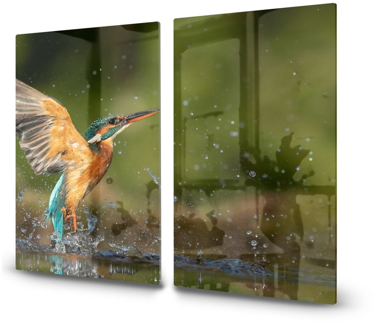Mydesignglas Glazen Inductie Beschermer - Krasvrij Gehard Glas met Antislip - Afdekplaat voor Kookplaat - Spatscherm Achterwand Keuken - Ijsvogel - 2x30x52