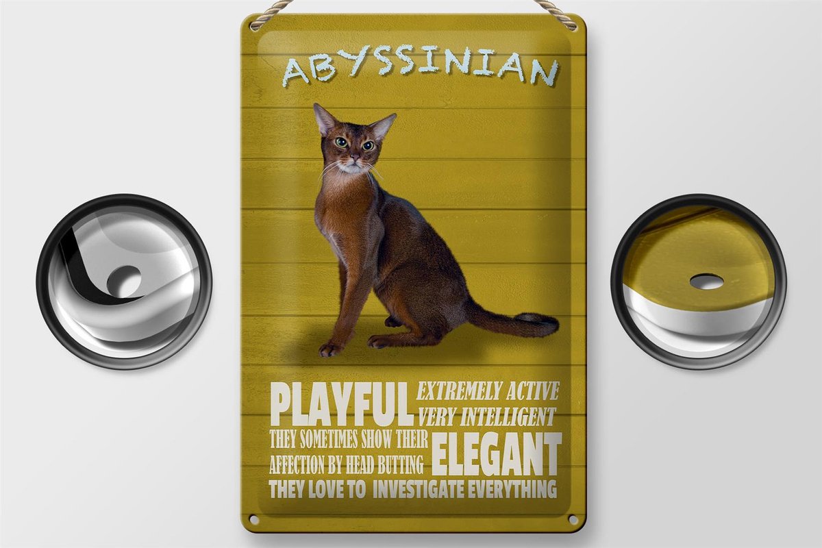 Blechschild Spruch 20x30cm Abyssinian Katze playful elegant