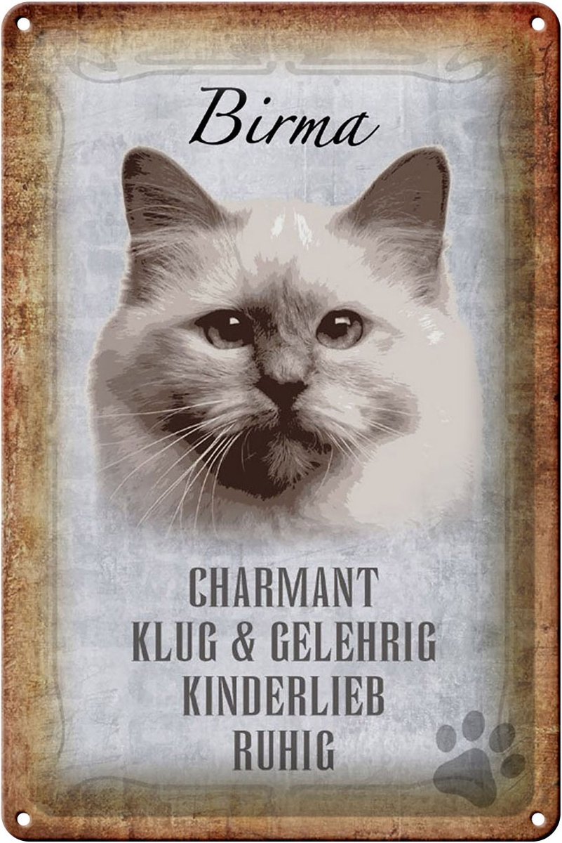 Blechschild Spruch 20x30cm Birma Katze klug Schild