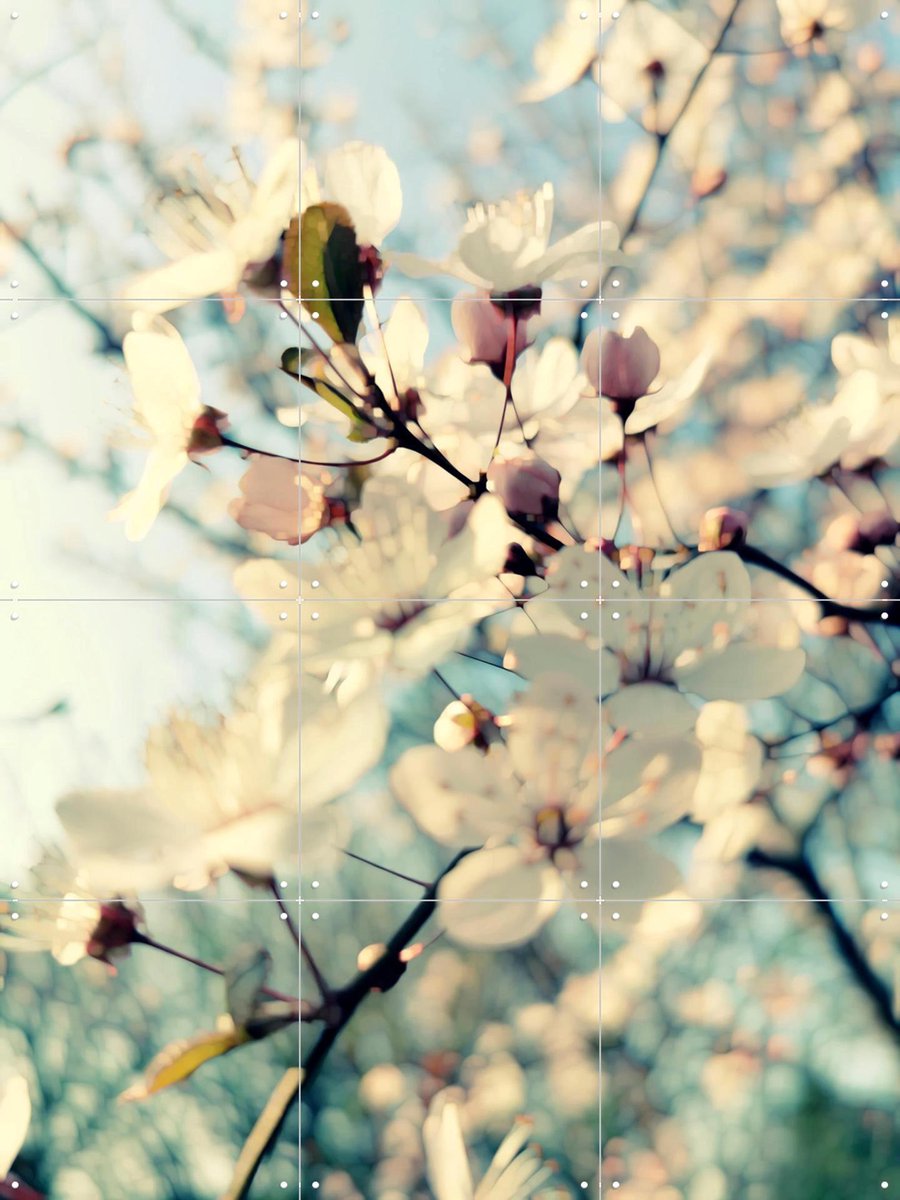 IXXI First Day of Spring, Angelo Cerantola - 60 x 80 cm - Gratis ophangtool - Grote wanddecoratie en posters - Fotografie, Slaapkamer, Gang