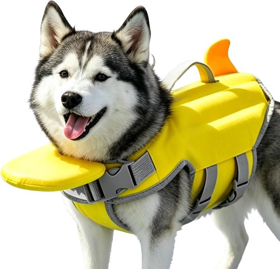 Chien husky-mix portant un gilet de sauvetage jaune avec sangles grises et nageoire orange.