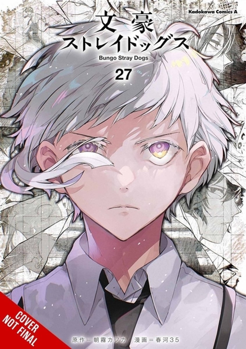 Bungo Stray Dogs- Bungo Stray Dogs, Vol. 27