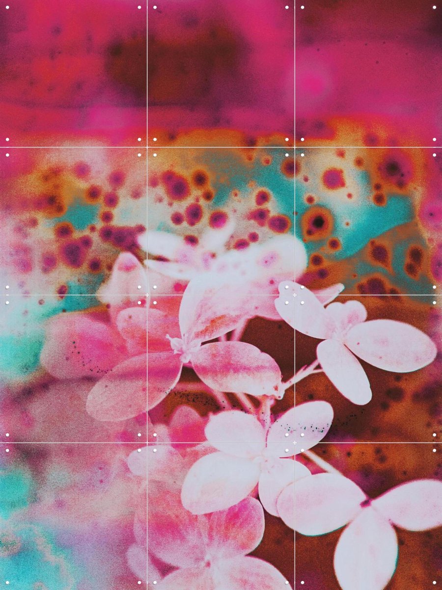 IXXI Entranced, Amber Lauder - 60 x 80 cm - Gratis ophangtool - Grote wanddecoratie en posters - Gemengde Technieken, Kleurrijk, Woonkamer